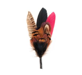 Plumes pour chapeau Plumas